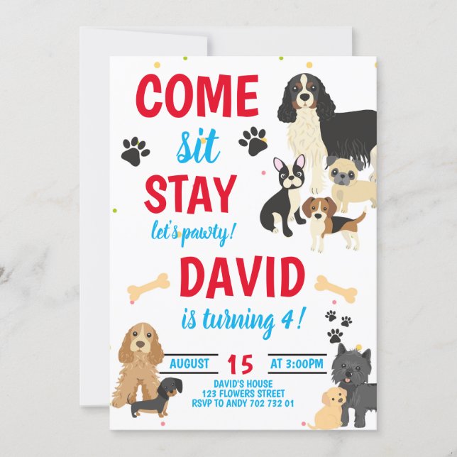 Dog Birthday Pawty Boys Birthday Invitation (Front)