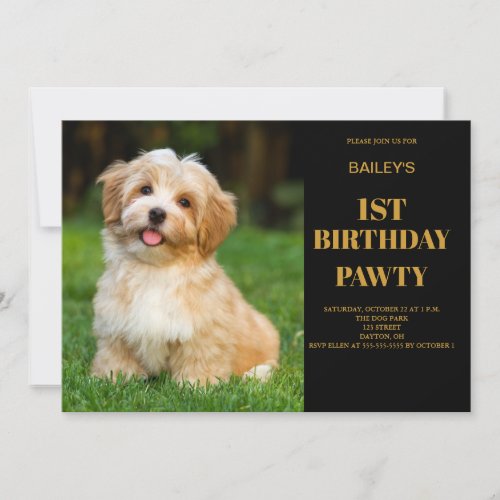 Dog Birthday Pawty Photo Invitation