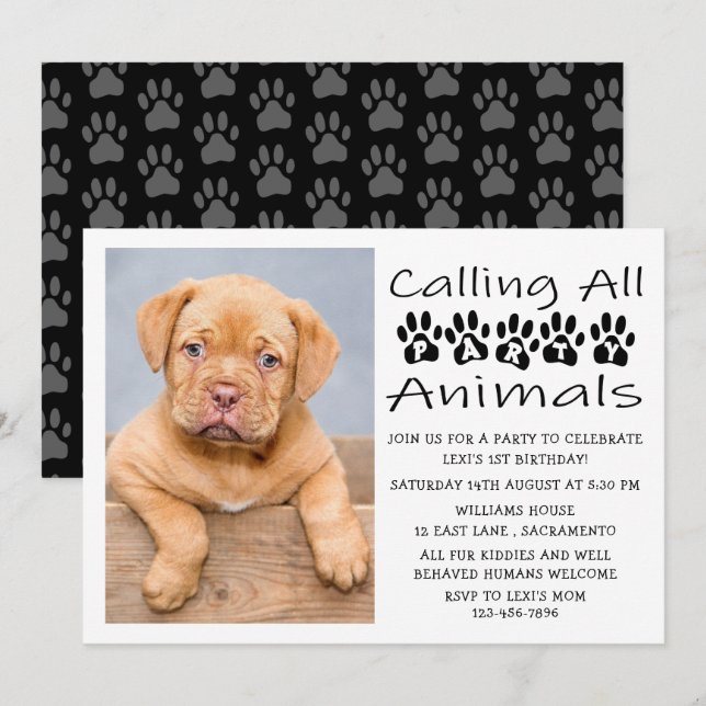 Dog Birthday Photo Invitation (Front/Back)