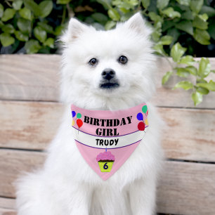 Dog Birthday Pink Cupcake Balloons Name Pet Bandana Collar