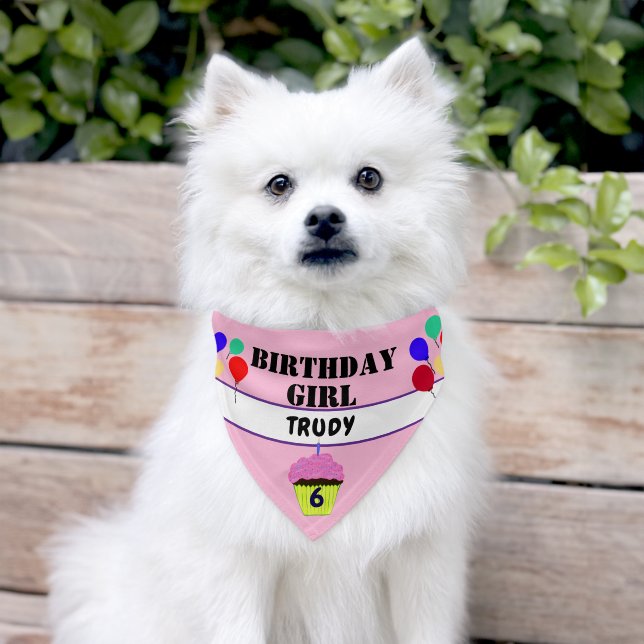 Dog Birthday Pink Cupcake Balloons Name Pet Bandana Collar (Dog)