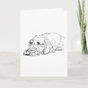 Dog Birthday, Wire Haired Dachshund - Cute Card