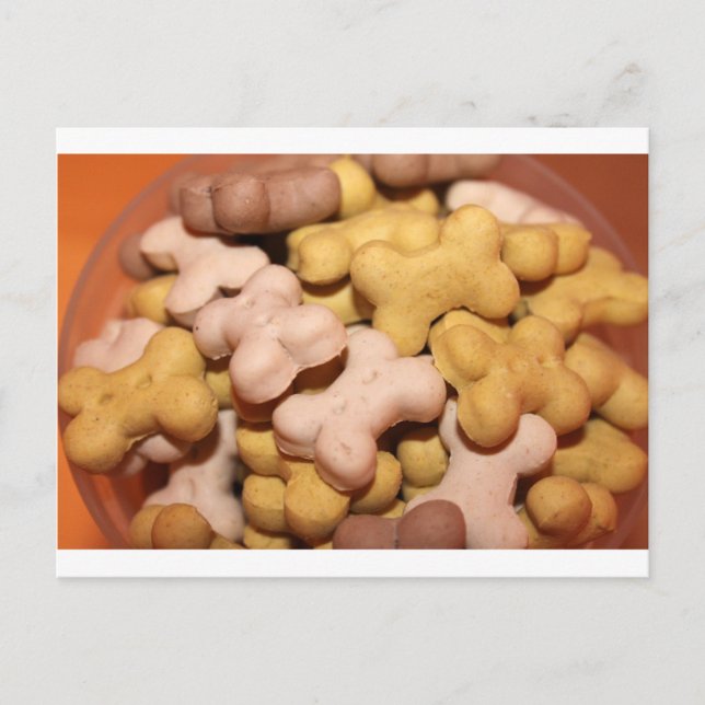 Dog Biscuits Postcard (Front)