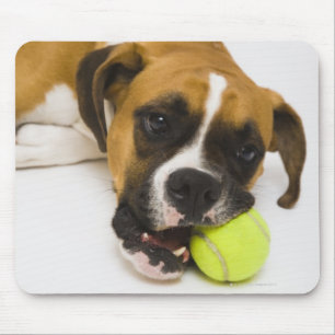 Dog biting tennis ball mouse pad
