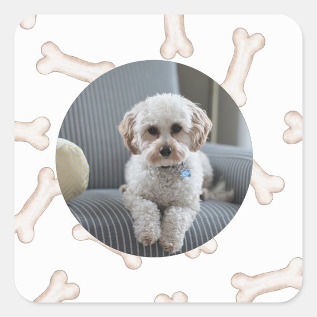 Dog Bone Photo Custom Stickers (Front)