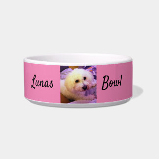 Dog bowl