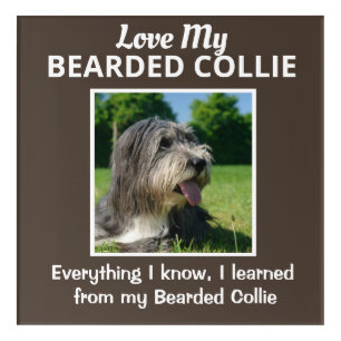 Dog Breed Custom Wall Art