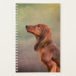 Dog breed long haired dachshund planner<br><div class="desc">Hand drawn home pet. Digital painting.  Clip art illustration funny dog</div>