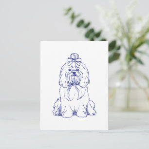 Dog breed Shih Tzu Postcard