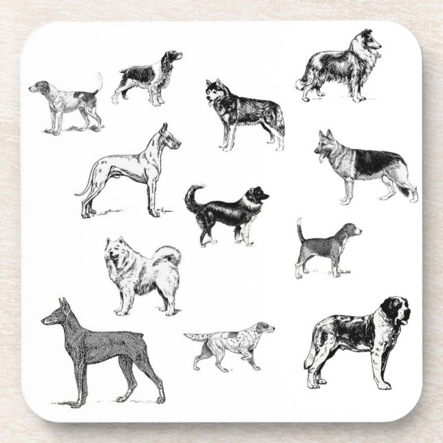 Dog Breeds Coaster Set (Front)