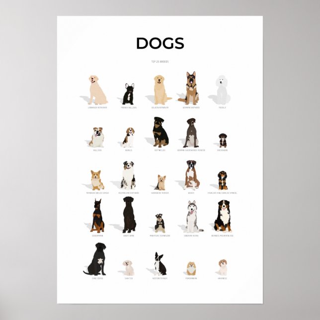 Dog Breeds Collection Poster (Front)