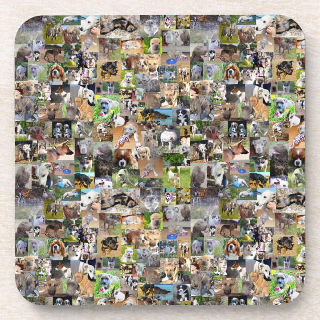 Dog Breeds Photo Collage,  Beverage Coaster (Front)
