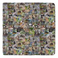 Dog Breeds Photo Collage,