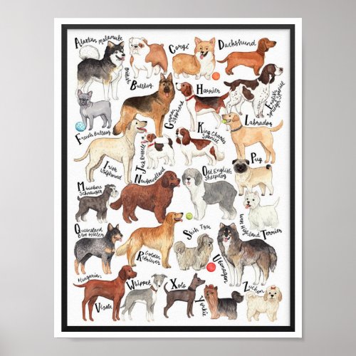 Dog Breeds Poster