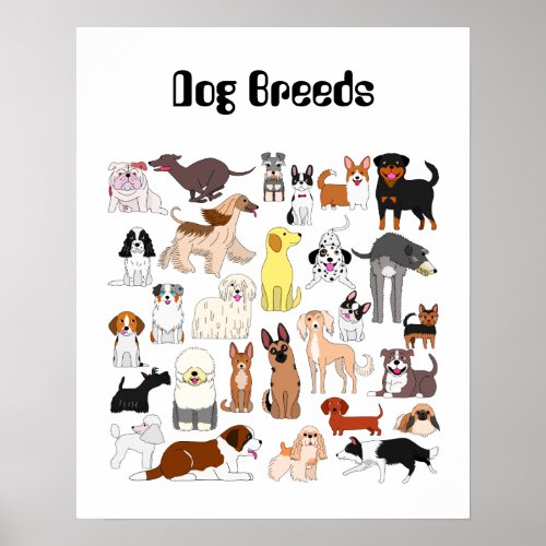 Dog breeds poster poster