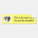 Dog Bumper Sticker at Zazzle
