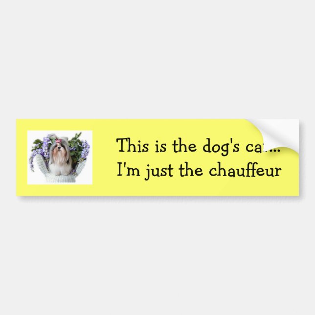 Dog Bumper Sticker (Front)
