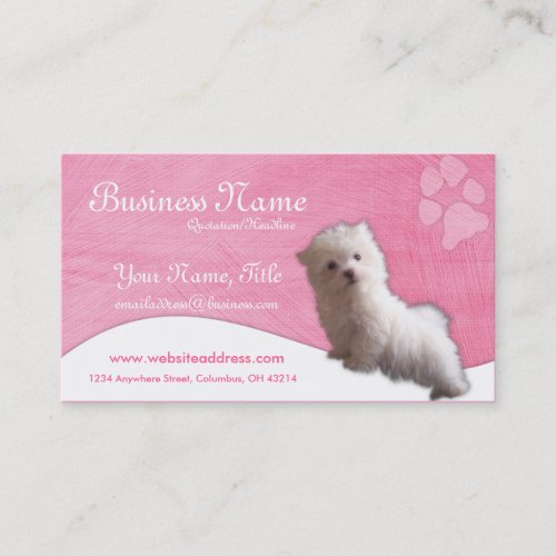 Dog Business Cards :: Maltese Puppy