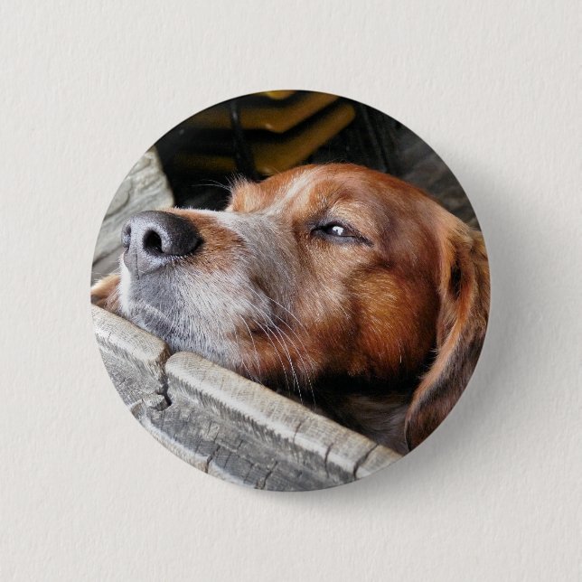 DOG BUTTON (Front)