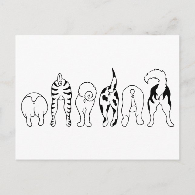 Dog Butts Postcard (Front)