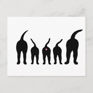 Dog Butts Silhouette Postcard