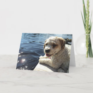 Dog by a lake greeting card