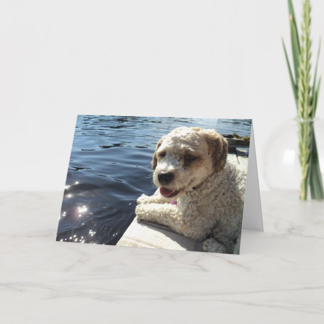 Dog by a lake greeting card (Front)