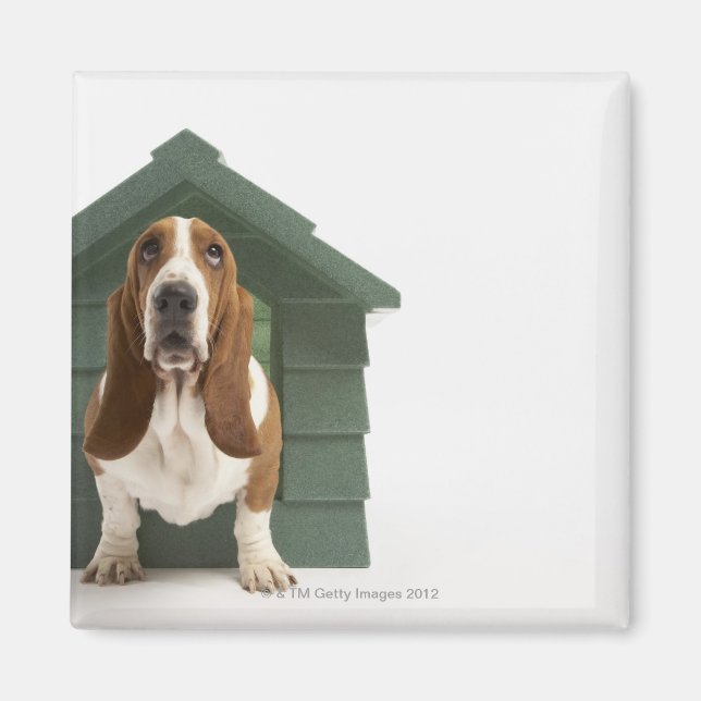 Dog by doghouse magnet (Front)