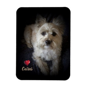 Dog Cairn Terrier “Dog Lover” Flexible Magnet