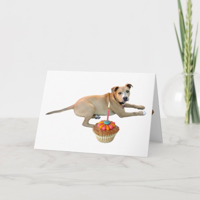 Dog Cake Birthday Card (Front)