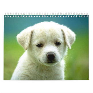 Dog calander calendar
