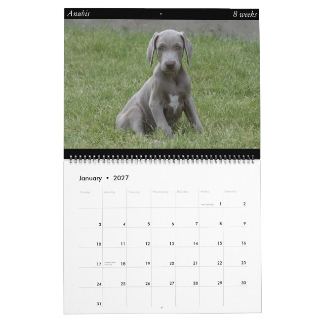 Dog Calendar (Jan 2027)