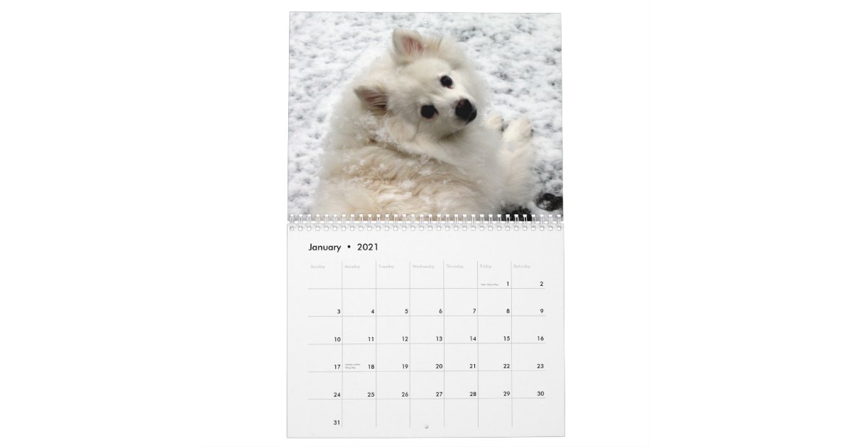 Dog Calendar