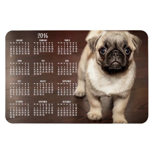 Dog calendar 2016 Photo Large Magnet 4x6 (Horizontal)