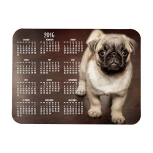 Dog calendar 2016 Photo Small Magnet 3x4