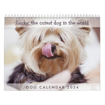 Dog Calendar 2024 Add Your Cute Photos by online_store at Zazzle