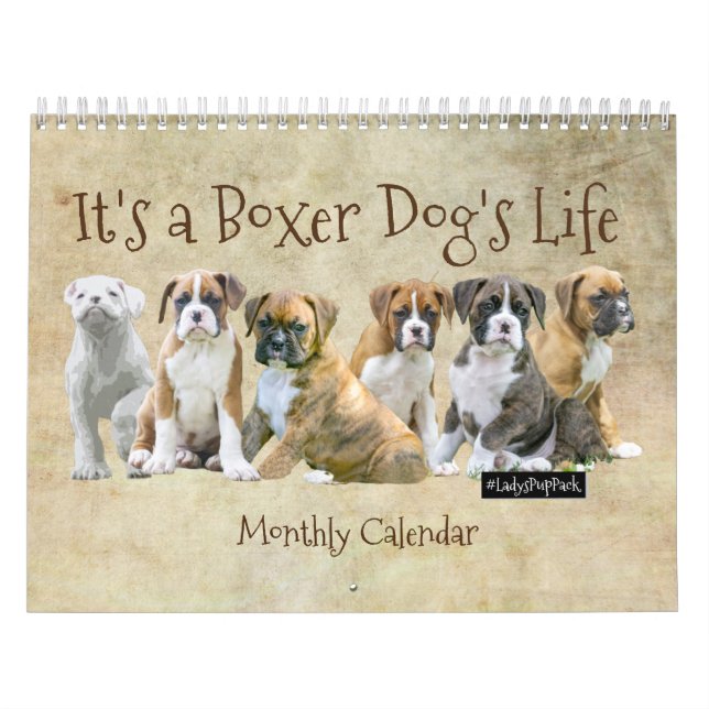 Dog Calendars - Cute Boxer Puppies (Cover)