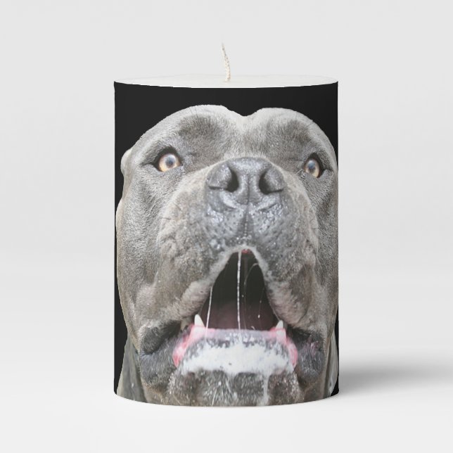 Dog Candle - Mastiff Face Attack Dog (Front)