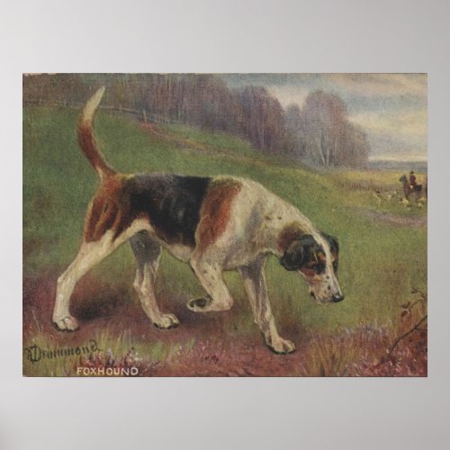 Dog Canine Foxhound Hunting Vintage Poster