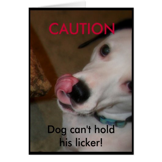 Dog can't hold his licker! cards (Front)