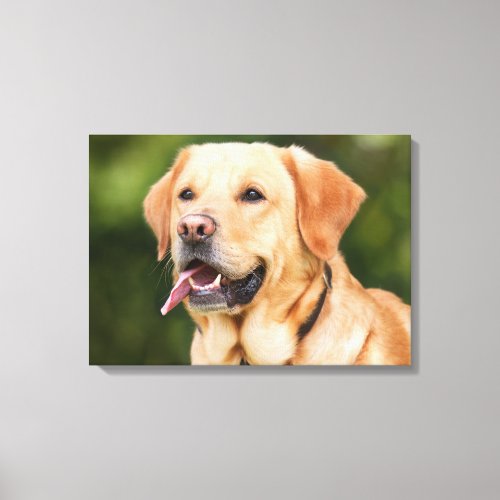 Dog Canvas Print