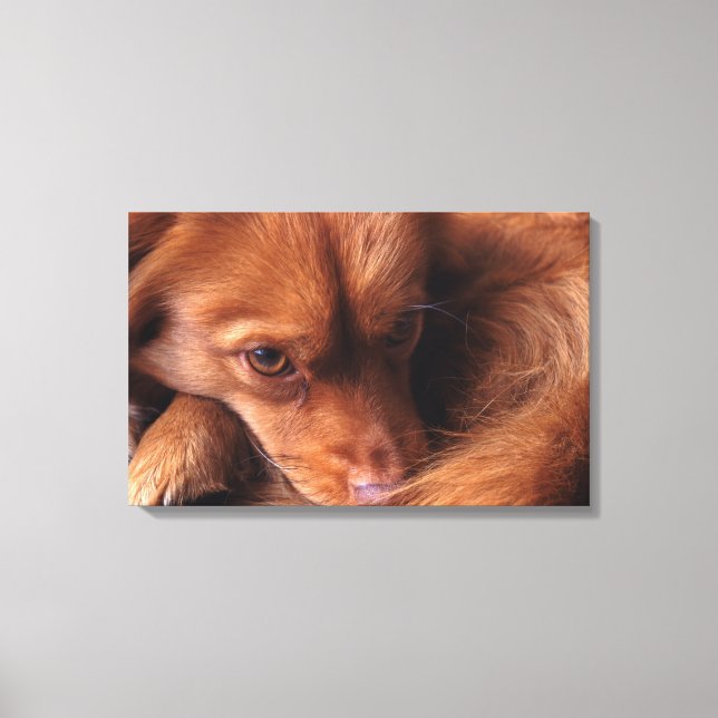 dog canvas print (Front)