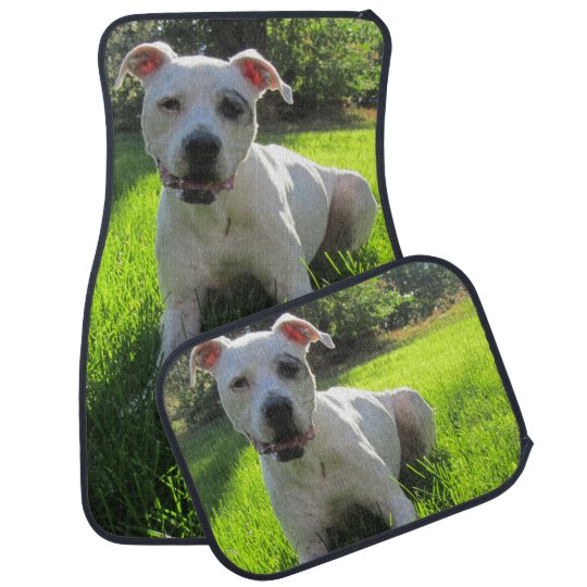 Dog Car Floor Mat