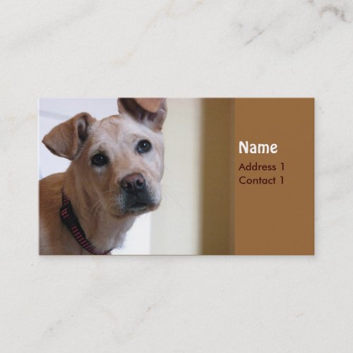 Dog card business cards