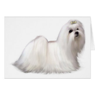 Dog Card