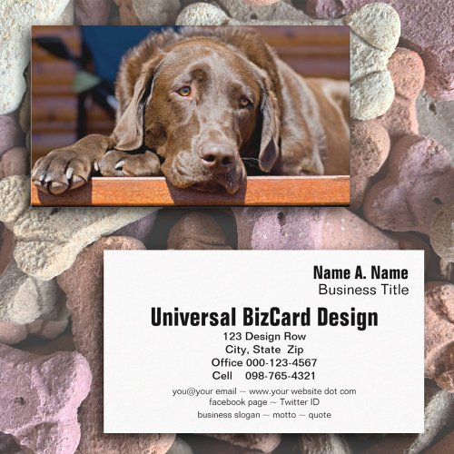 Chocolate Labrador Retriever Photograph Business Card Template