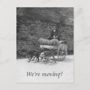 Dog cart with bearded man moving announcement postcard
