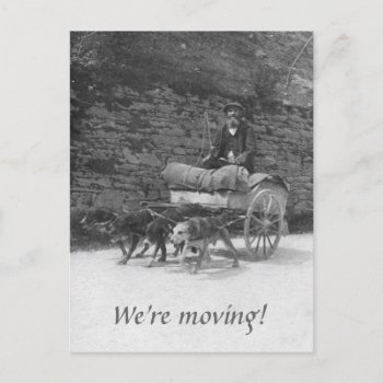 Dog Cart With Bearded Man Moving Announcement Postcard by Past_Impressions at Zazzle