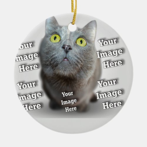 Dog Cat Bird Fab Amazing Photo Ceramic Ornament