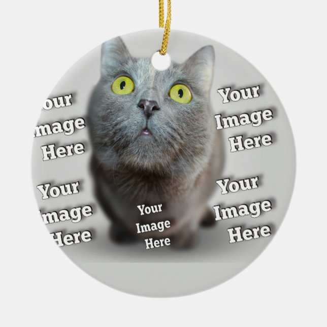 Dog Cat Bird Fab Amazing Photo Ceramic Ornament (Front)